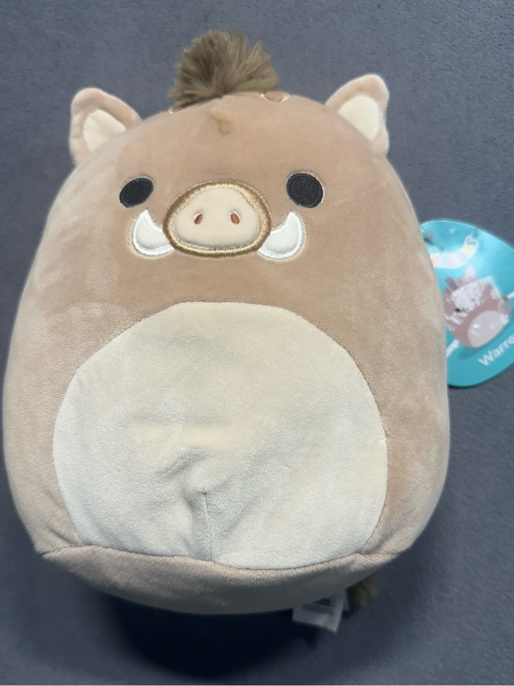 Squishmallows Brown Boar with Cream Belly Patch